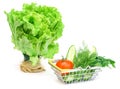 A small shopping basket with herbs, cucumber, tomato, parsley next to a fresh potted green salad on a white background