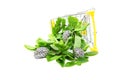 Small shopping cart with detailed steel copies of human brain and fresh mint leaves isolated on white.