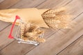 A small shopping cart full of ripe wheat ears and a handful of wheat ears next to it Royalty Free Stock Photo