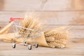 A small shopping cart full of ripe wheat ears and a handful of wheat ears next to it Royalty Free Stock Photo