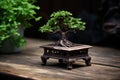 a small, short bonsai tree on a wooden table