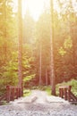 A small short bridge across the river for driving cars in the middle of the forest Royalty Free Stock Photo