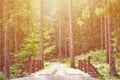 A small short bridge across the river for driving cars in the middle of the forest Royalty Free Stock Photo