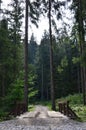 A small short bridge across the river for driving cars in the middle of the forest Royalty Free Stock Photo