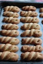 Small shortcrust pastry braids on a baking pan Royalty Free Stock Photo