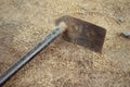 Small shovel for gardening on soil background Royalty Free Stock Photo