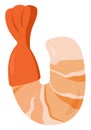 Small shrimp , illustration, vector