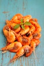 Small shrimp (crustaceans) Royalty Free Stock Photo