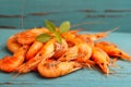 Small shrimp (crustaceans) Royalty Free Stock Photo