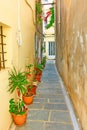 Small side street with flower pots