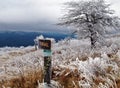 Appalachian Trail Ice