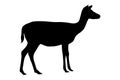 Small sika deer. Black silhouette