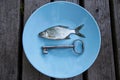 Small silver fish on a plate with antique key Royalty Free Stock Photo