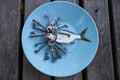 Small silver fish on a plate with antique key Royalty Free Stock Photo