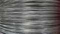 Small silver wire Rams placed transversely Royalty Free Stock Photo