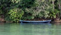 Small and simply made of a tree trunk, artisanal boat on green waters of lake, under shadow of thick green tropical vegetation