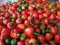 Small sized and colorful chilies Royalty Free Stock Photo