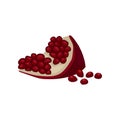 Small slice of sweet pomegranate with juicy seeds. Organic and tasty food. Healthy nutrition. Flat vector icon