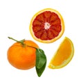 Small sliced Blood Orange, Orange slice and whole Mandarin