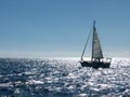 Small sloop on a bright sea Royalty Free Stock Photo