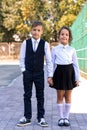 Small smart beautiful school children a boy and a girl came to school Royalty Free Stock Photo