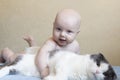 A small smiling child hugs a big fluffy cat Royalty Free Stock Photo