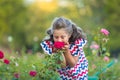 A small smiling girl with curly brown hair dressed in blue red pink dress with zigzag print smelling a rose in the rose Royalty Free Stock Photo