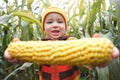 Small smiling kid boy in colorful knitted sweater showing or giving fresh corn cobs on cornfield. Happy childhood, autumn mood,