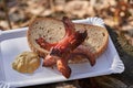 Small sausages grilled on campfire. Royalty Free Stock Photo