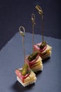 Small snacks canape with salami, cheese and pickle on skewer on