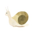 a small snail with brown tones. Watercolor illustration highlighted on a white background. A set OF ANIMAL FACES Royalty Free Stock Photo
