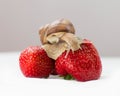 Small snail on strawberries