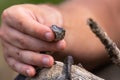 Small snake, known as Natrix tessellata, in man& x27;s hand Royalty Free Stock Photo