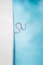 Small snake swimming in pool Royalty Free Stock Photo