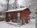 A small snow-covered cabin in a birch forest with a recent light snowfall powdering the surfaces