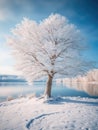 Small, snow-covered tree standing alone on shore of lake. It is surrounded by water and appears to be in front of mountain range