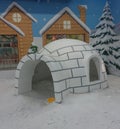 Small snow home 