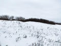 Small snow rise, with sleeping bushes Royalty Free Stock Photo