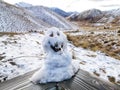 A small snowman built from the wet snow on a bench at the Lindis Pass in New Zealand