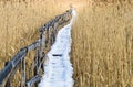 Reed access road covered with snow and ice. Royalty Free Stock Photo