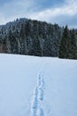 a small snowy field with a foot prints in the snow