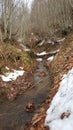 a small snowy stream