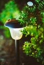 Small Solar Garden Light, Lantern In Flower Bed. Garden Design. Solar Powered Lamp Royalty Free Stock Photo