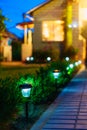 Small Solar Garden Light, Lantern In Flower Bed. Garden Design. Royalty Free Stock Photo