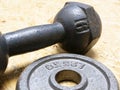 solid metal dumbbell and weigth plate
