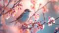 A small sparrow bird on a branch of a flowering tree. The beginning of spring and rebirth. Dawn light, Pastel pink Royalty Free Stock Photo