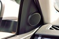 Small speaker for music in the car door Royalty Free Stock Photo