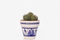 Small sphere cactus in clay pot painted Andalusian style