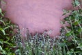 Small spice herb garden on a blue background flat view