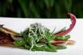 Small spinach gnocchi with ricotta